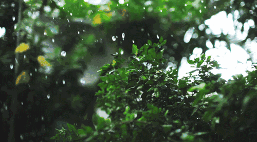 高德军:七律•四首:春风,夏雨,秋霜,冬雪(图6)