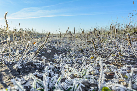 高德军:七律•四首:春风,夏雨,秋霜,冬雪(图7)