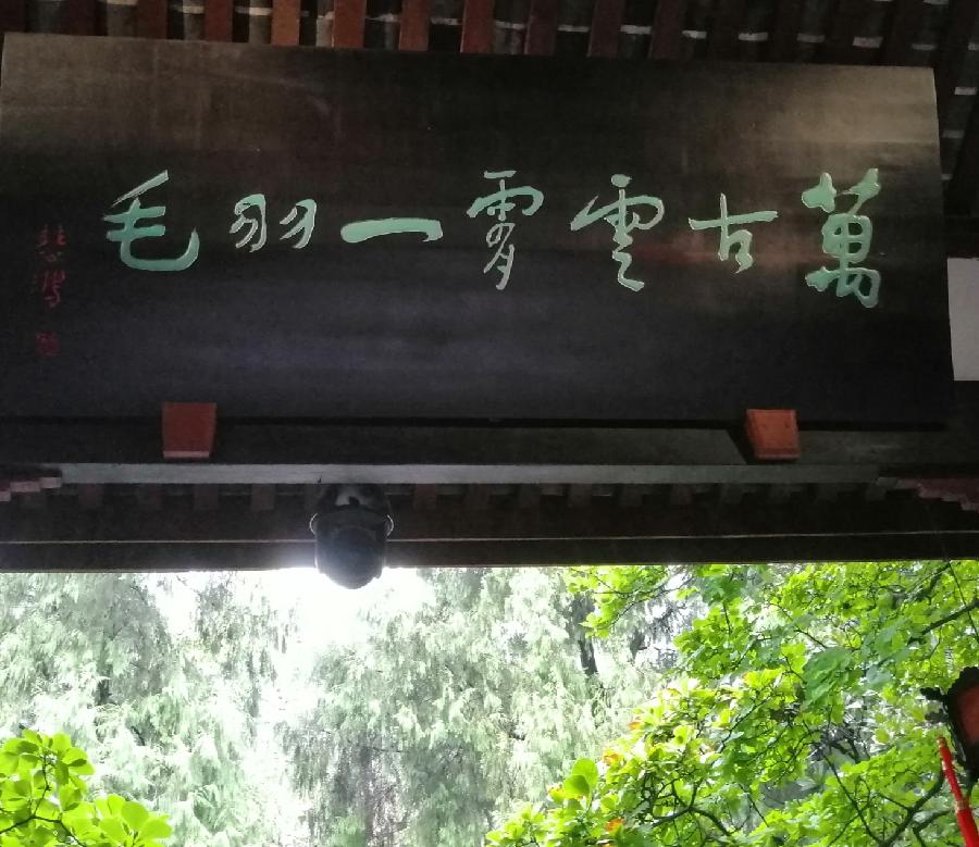 七律 武侯祠思古（二首）文／江冲（图14）