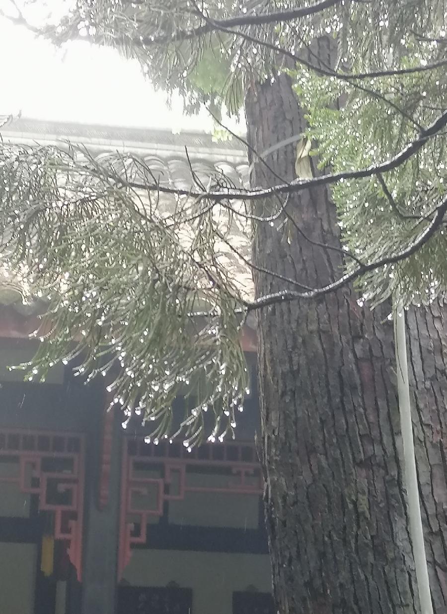 七律 武侯祠思古（二首）文／江冲（图17）