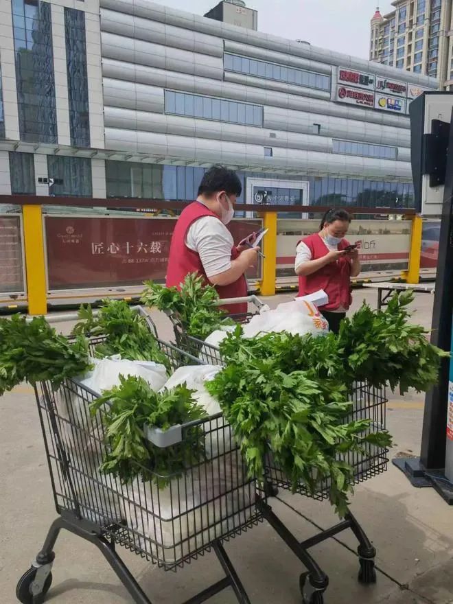 太行诗苑|【同题吟咏】石家庄必胜(中)(图13)