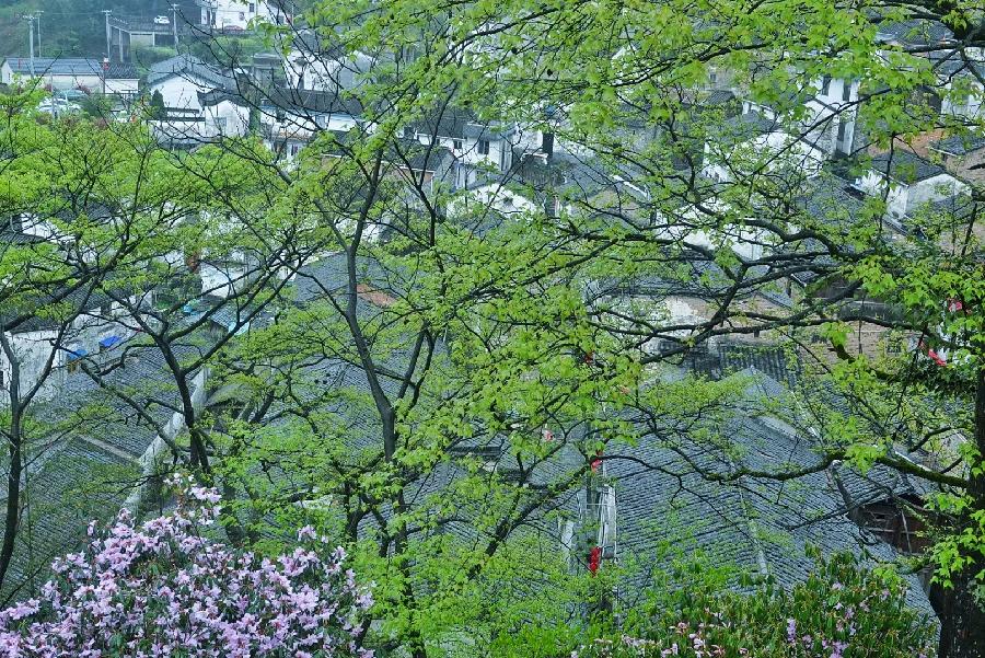 传销背后的道德危机(檀静妍)(图2)