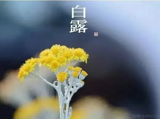 感谢许广坤金秋时节邀请同学相聚！/线连石（图2）