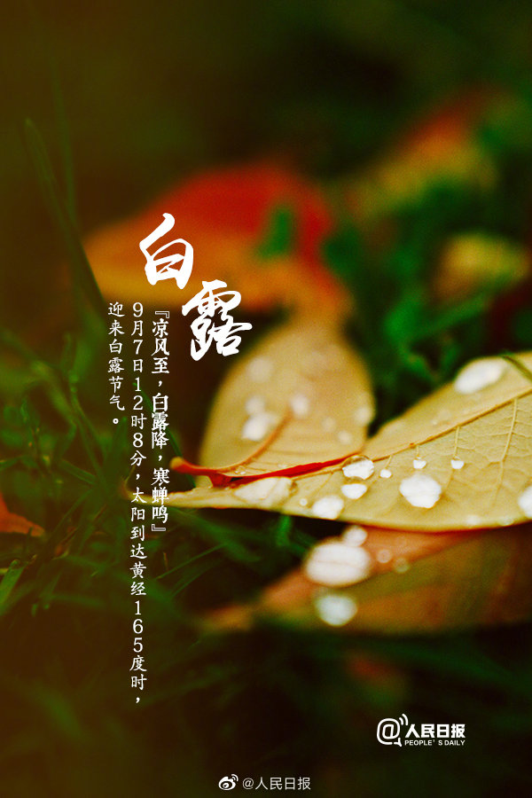 中华诗艺社黑龙江分社【原创】吴锡峰 (河南):七律·白露（图2）