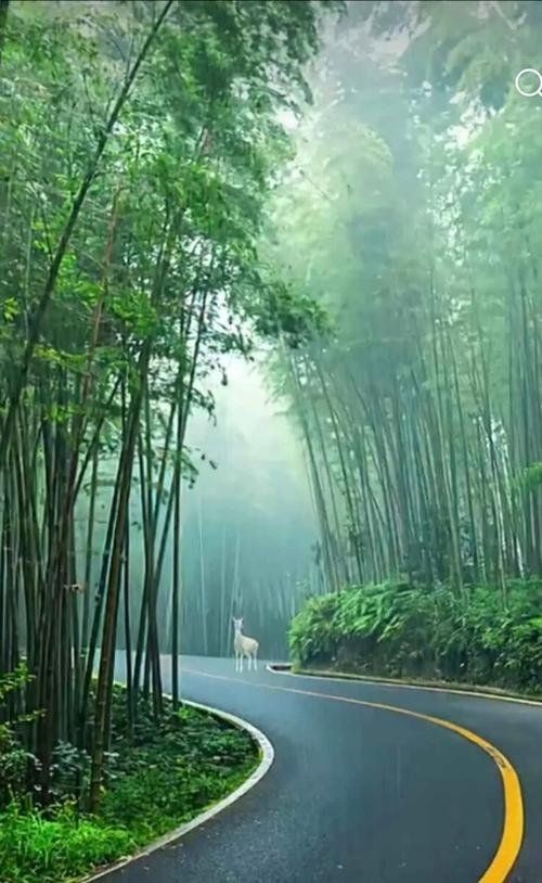 七律·游陶渊明纪念馆晚归 作者:吴云钦（图4）