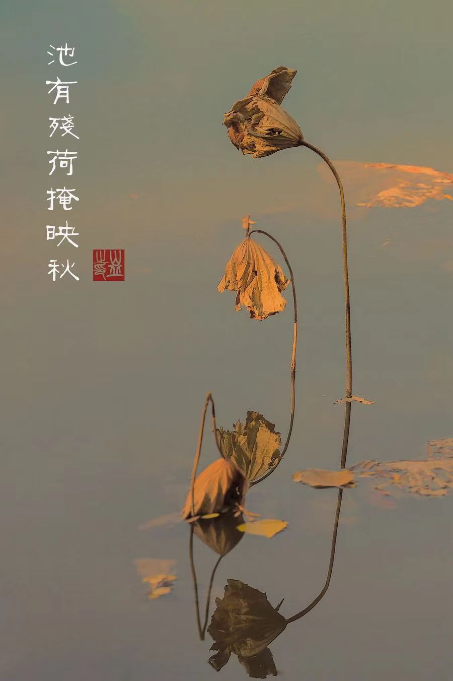 《白露感吟·诗四组》作者:江花（北京）长安街总社【世界诗人名人展】 （9052）（图5）