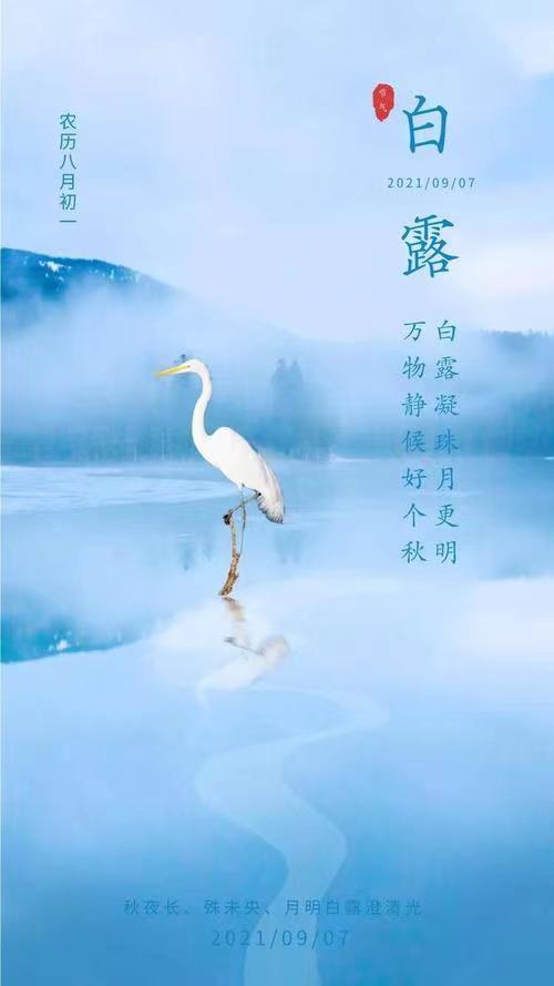 《白露感吟·诗四组》作者:江花（北京）长安街总社【世界诗人名人展】 （9052）（图3）