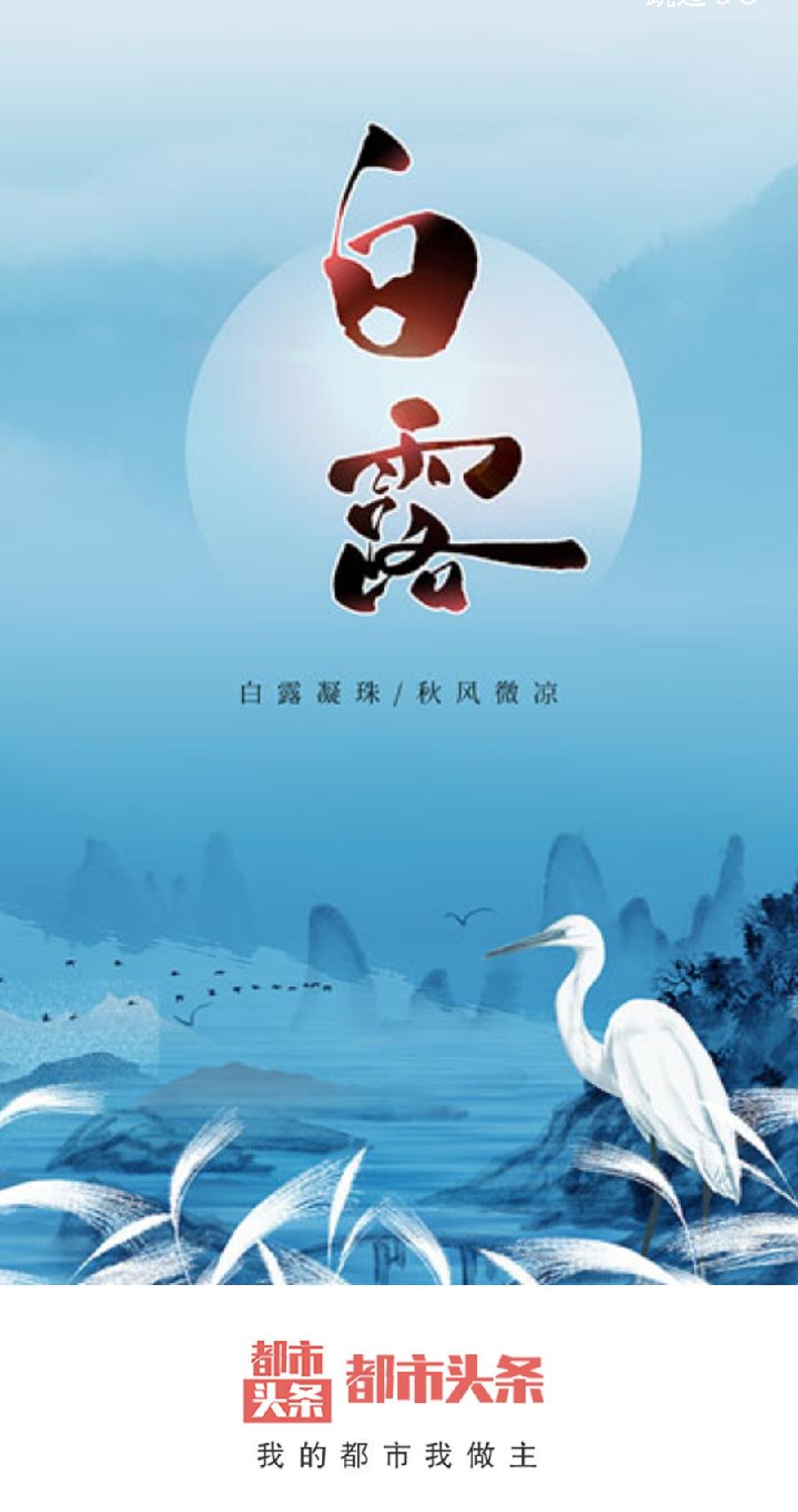中华诗艺社黑龙江分社【原创】徐淑芳:白露（图2）