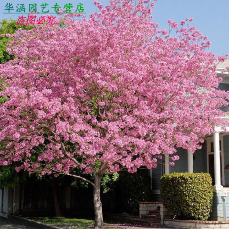 【神州源流诗苑】第735期[优秀近体诗]周刊（图10）