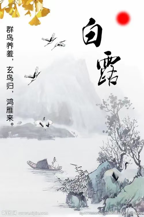 心尘文艺 第662期