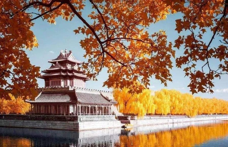 【枫雅汇看图约诗】诗人陈江《176期》(北京的秋天)(图9)