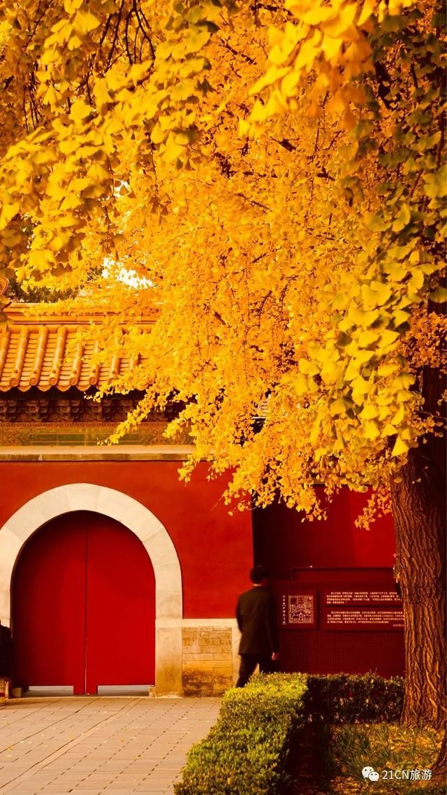 【枫雅汇看图约诗】诗人陈江《176期》(北京的秋天)(图10)