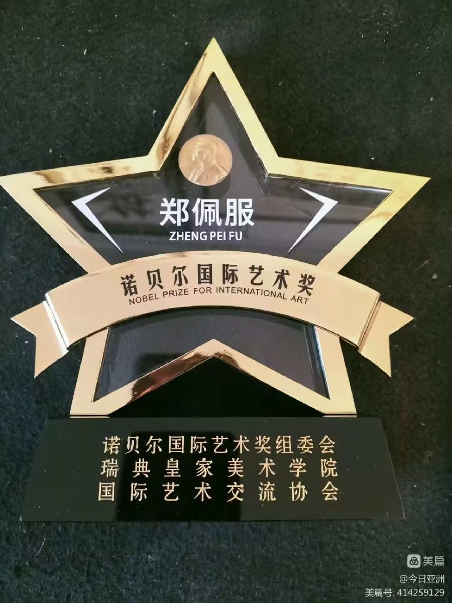 感谢中国当代著名书法家 中国当代艺术名家郑佩服先生为我的都市头条号“常青视觉”刊头题字(图10)
