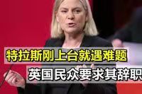 采桑子-女王破例换址任新相意在防英分裂*文/冯志清（上海）【冰心文化传媒】（图14）
