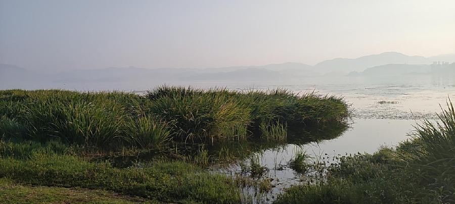寻一滴秋露(图6)