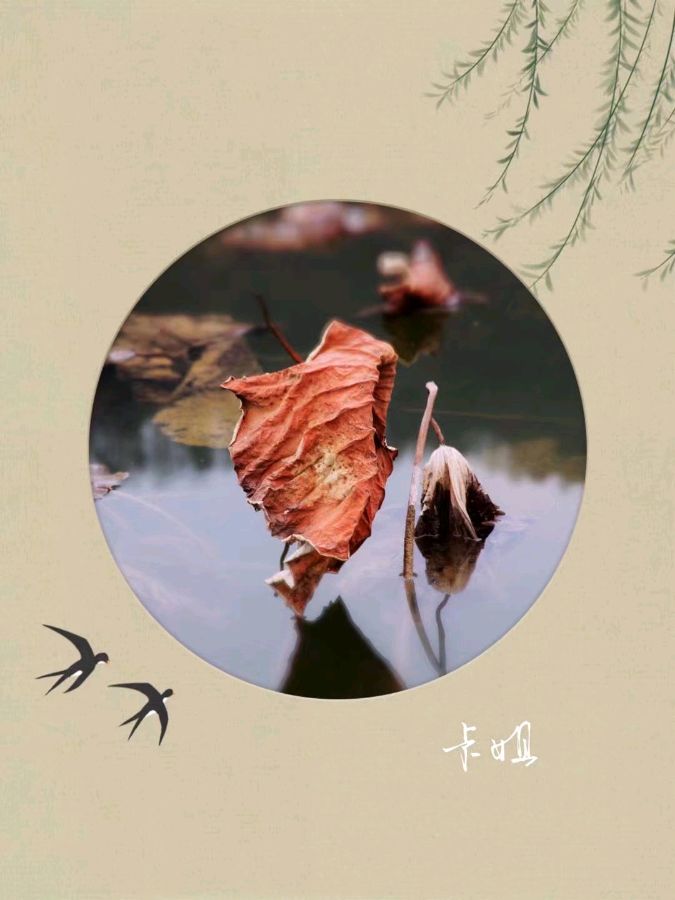 我的天空 作者/楼红心 主播/伊月儿 京津沪头条（图11）