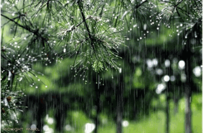 144102695.gif 寰俊鍥剧墖_20220908144108.gif