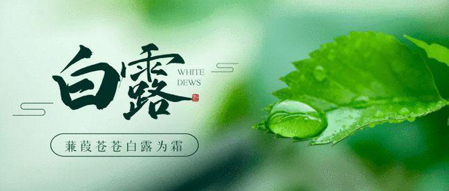 中华诗艺社九江分社·格律诗词精品鉴赏(合辑)第1525期(图38)