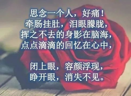 《思念》作者：白唐儿【主播：金牌主播：知语】【桃源国际诗歌集团】[桃源♬ 馨声]（图9）