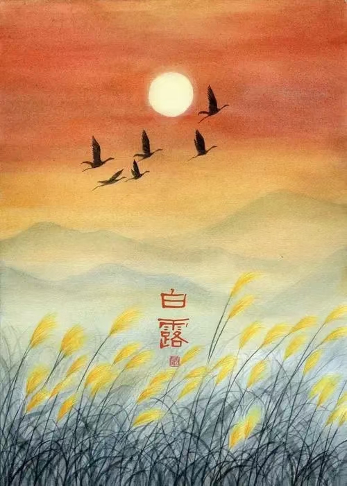 心尘文艺 第663期