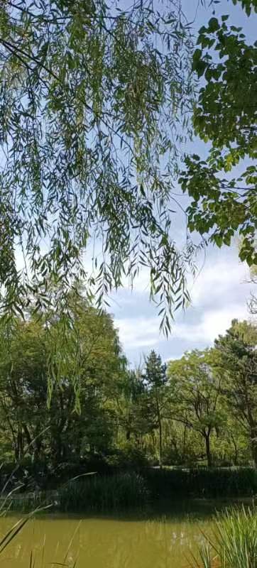鹤祥题图（图2）