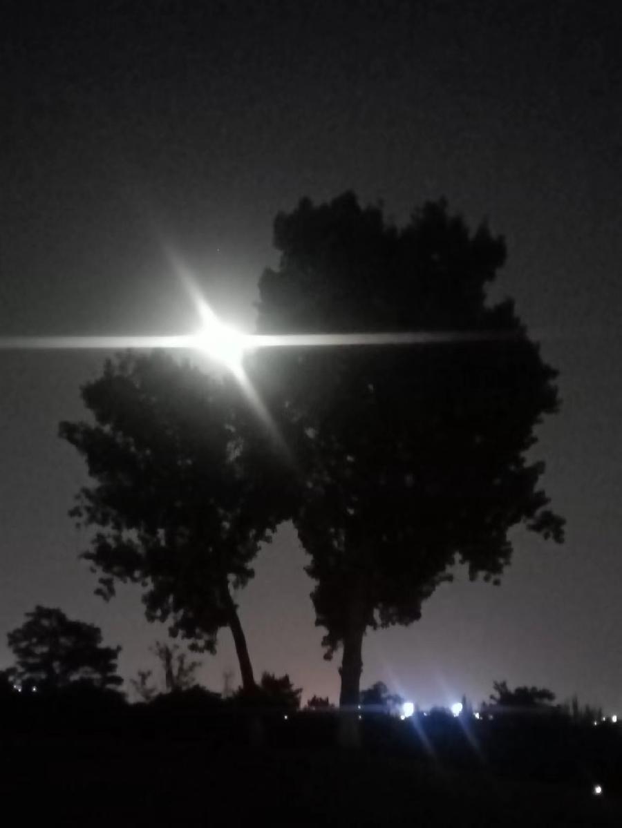 月夜独行