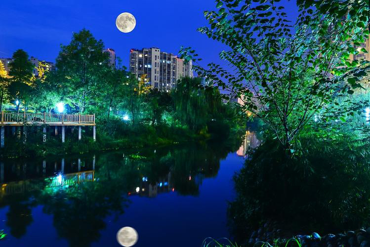 【新诗大观】中秋月,月中秋||文/ 惊鸿照影||诵/关蓓