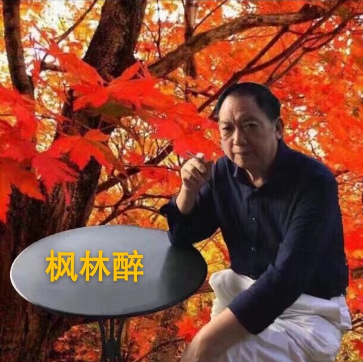 中华诗艺社黑龙江分社/村夫:楹联集锦 七十五、七十六(图3)