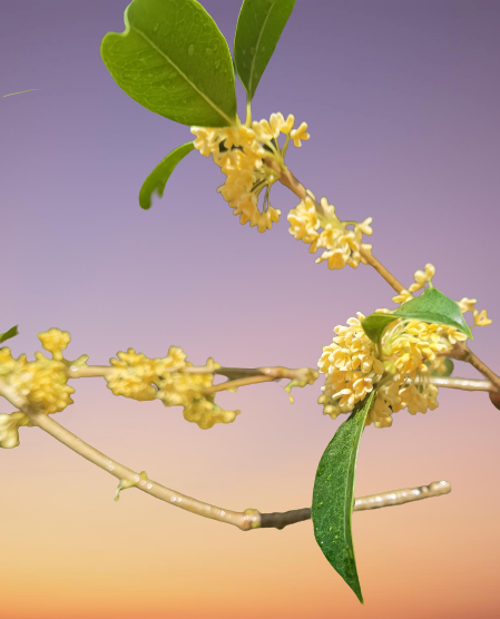 吕凤芹老师诗词欣赏（图2）