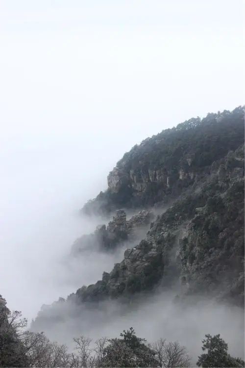 《与陆靖等友人同上庐山》作者：雪丰谷【主播：金牌主播：刘树清】【桃源国际诗歌集团】[桃源♬ 馨声]（图8）