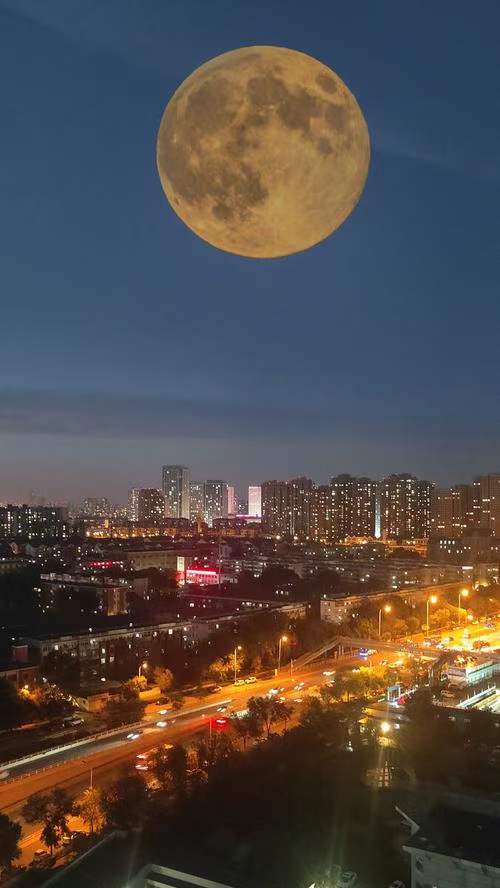 中华诗艺龙江分社推介/殷建瓴:中秋夜思（图4）