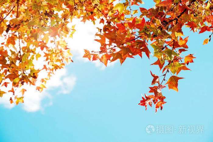 白云翔诗歌《我和你》主播：瑞雪丰年；编辑：香乡【北疆头条】（第286期）（图2）