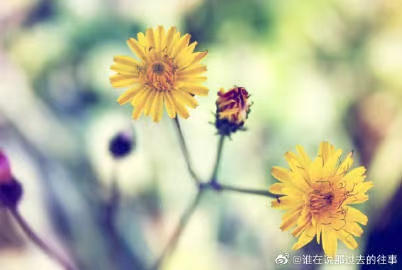《江南诗絮文化中心》0563期~周刊(图10)