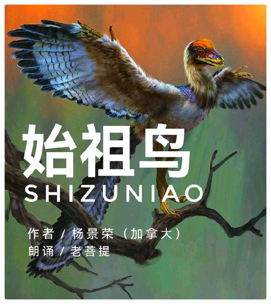 始祖鸟∥作者 杨景荣（加拿大）∥诵读：老菩提（图2）