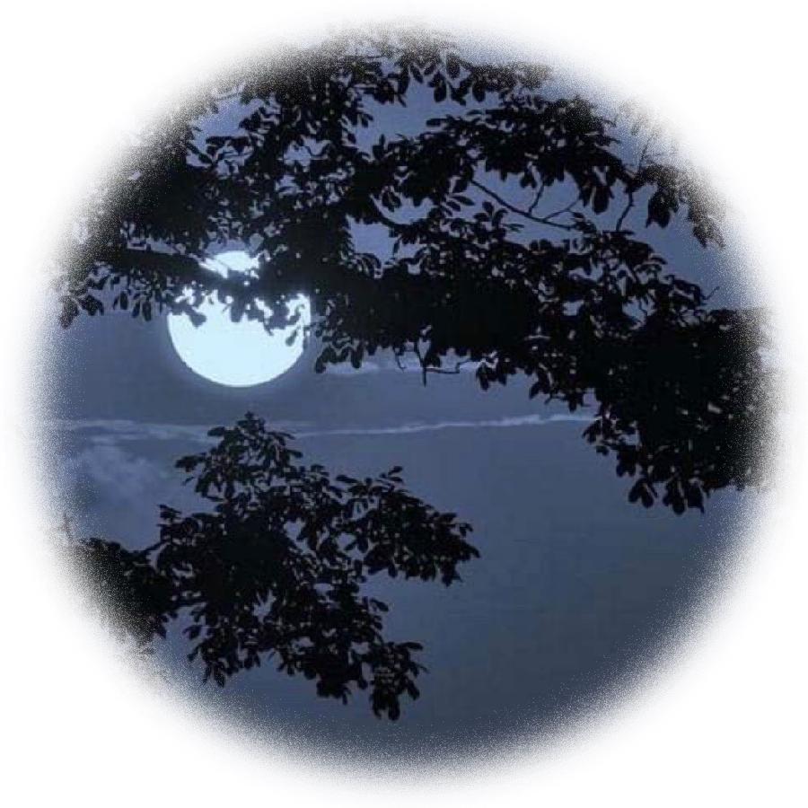 中华诗艺龙江分社推介/青士李振汉:三五中秋夜 苍穹月正圆（图13）