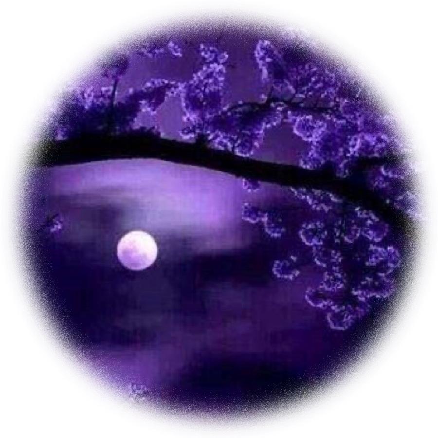 中华诗艺龙江分社推介/青士李振汉:三五中秋夜 苍穹月正圆（图14）