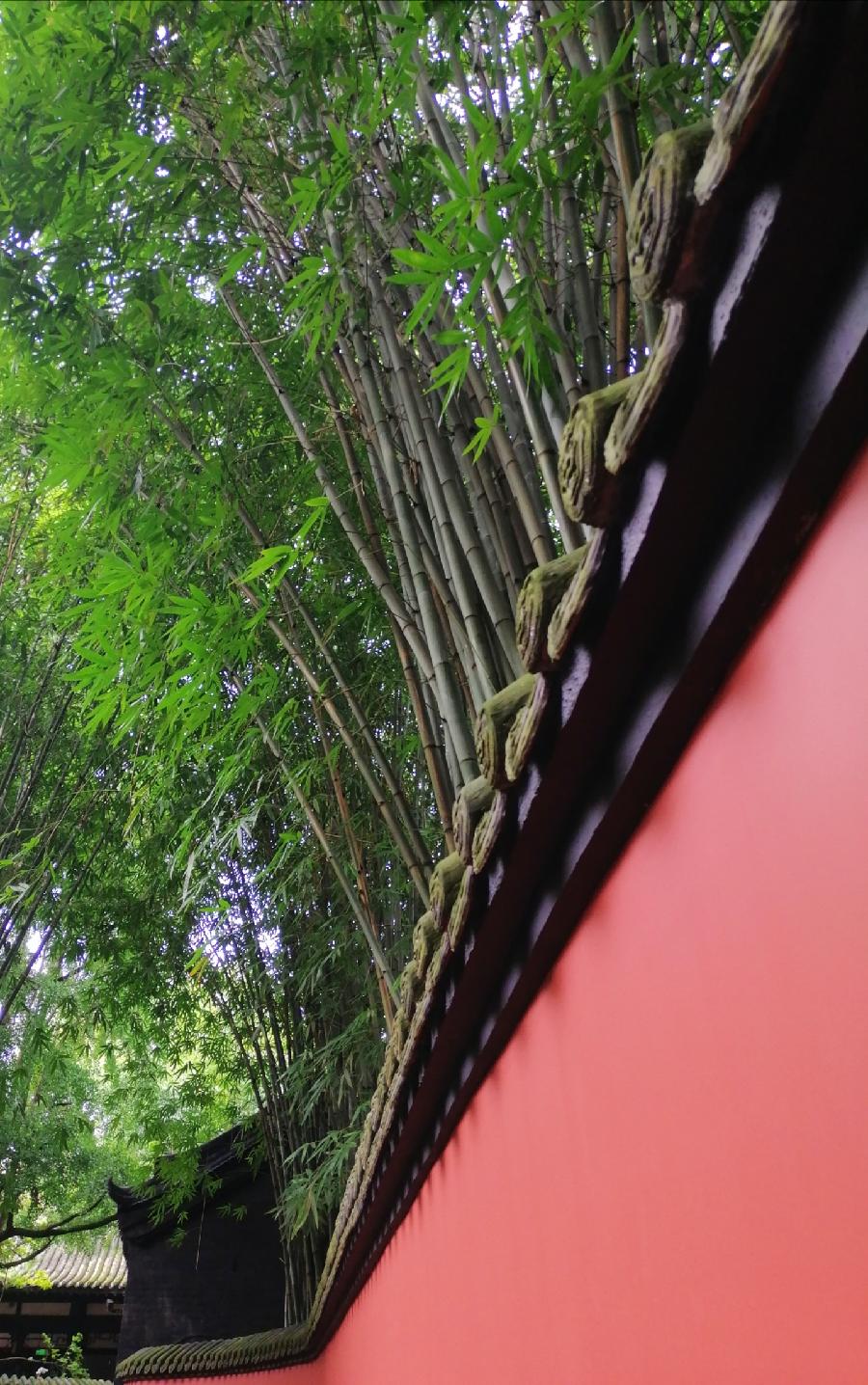 满江红 惠陵秋（新韵）文／江冲（图6）