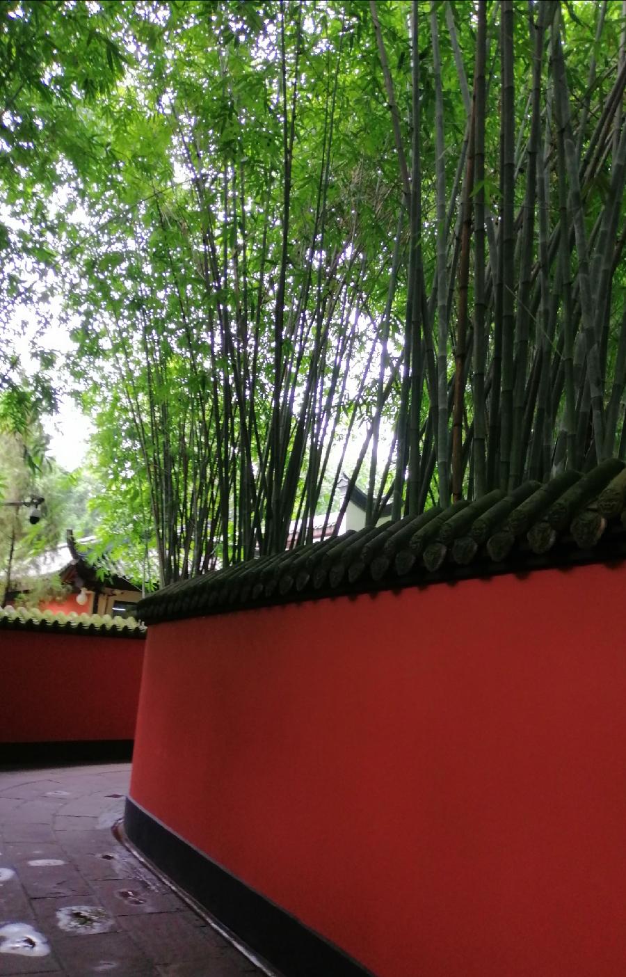 满江红 惠陵秋（新韵）文／江冲（图5）