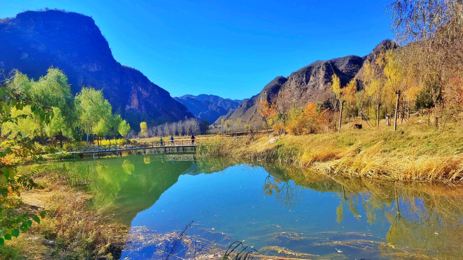 〔诗词小辑〕隆光诚（广西南宁）【冰心文化传媒】（图5）