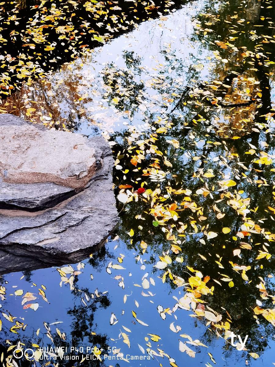田渊原创【四季·秋篇】《七绝·壬寅中秋》三首（图3）