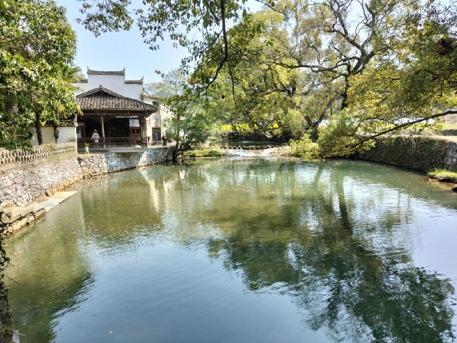 《世界名家》【九江文学社:北京头条】著名艺术家沈志昂先生笺言精选(图15)
