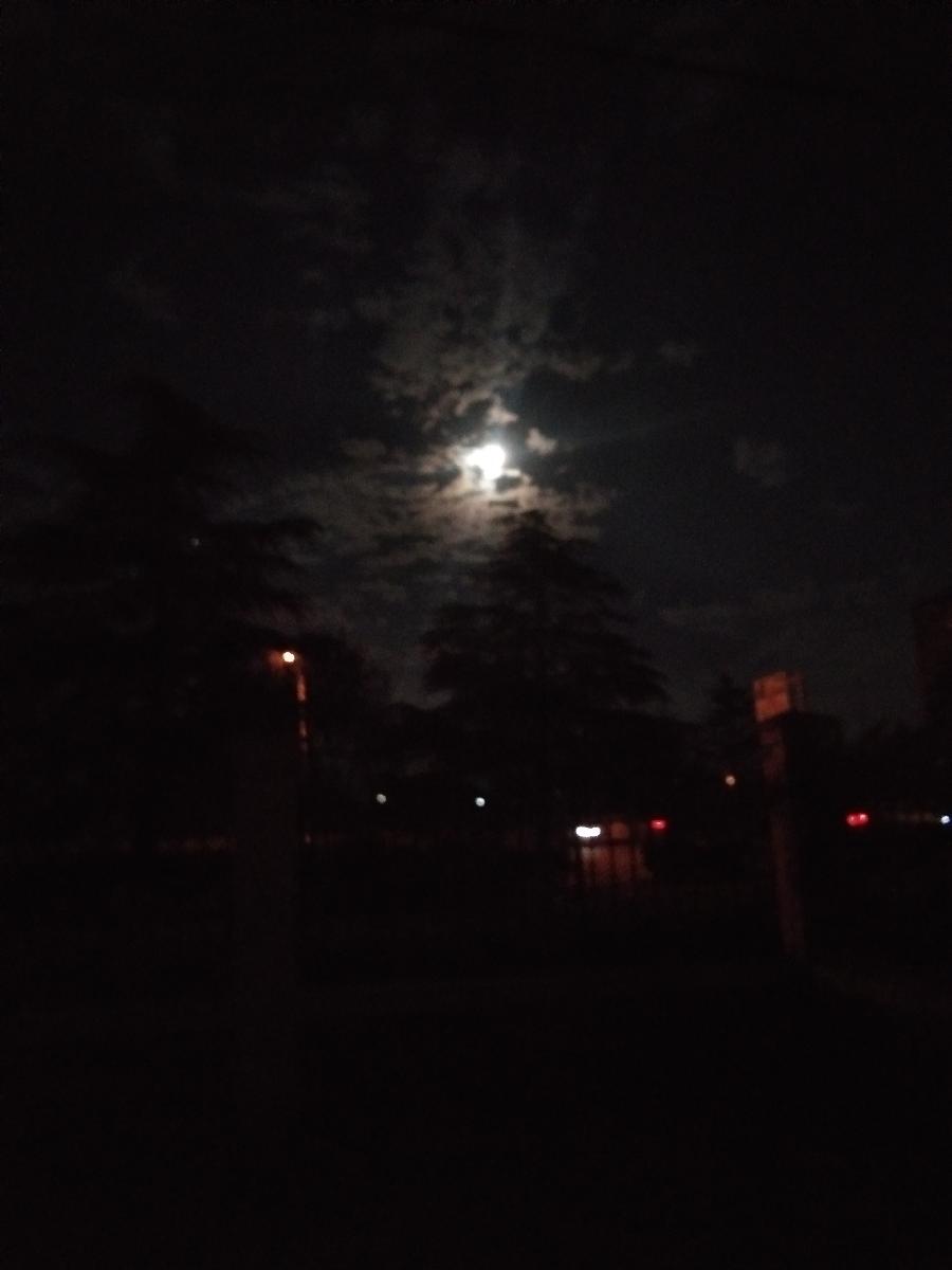 心尘文艺 第666期