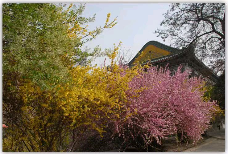 校园诗刊专栏‖老师您好吗（外二首）文/主播/伊月儿（图18）