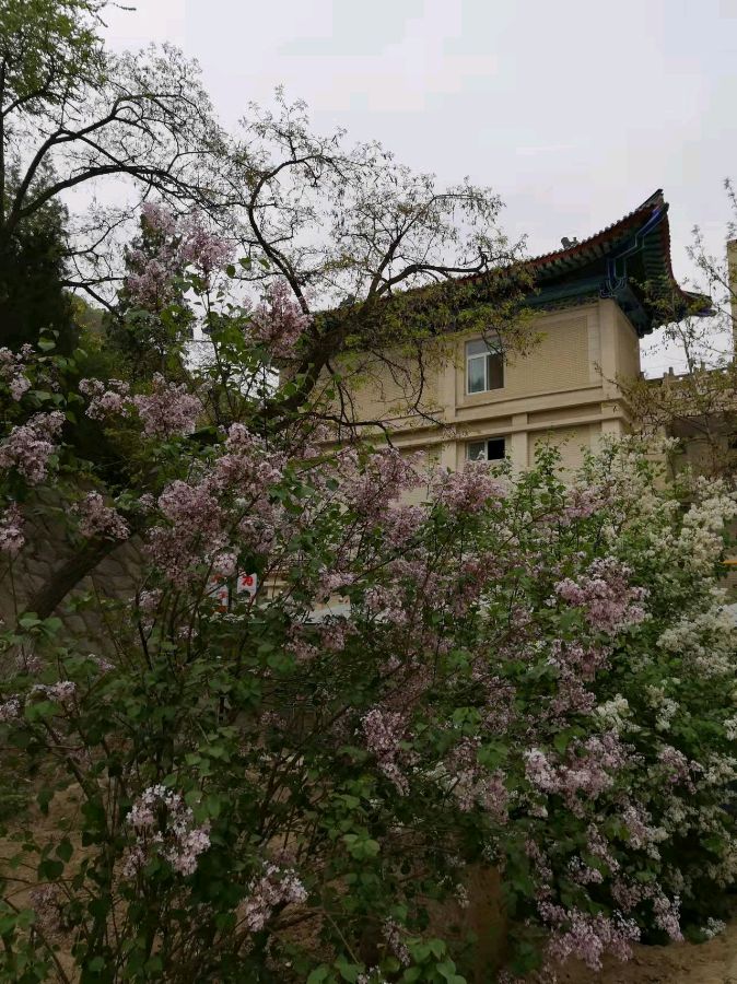 校园诗刊专栏‖老师您好吗（外二首）文/主播/伊月儿（图5）