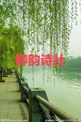 第一期步白居易《大林寺桃花》韵