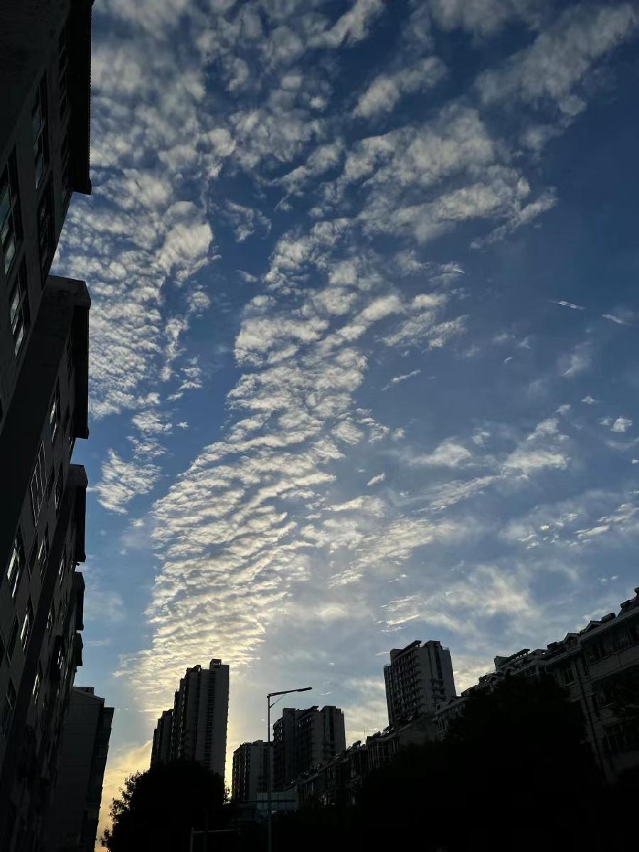 【雅诗总会】留下生活中美好的瞬间★张哲摄影作品一览（图9）