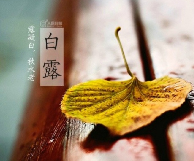 中华诗艺龙江分社【专辑】李俊: 二十四节气歌【原创】(图17)