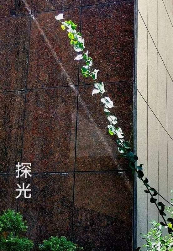 《有声文学》《名家专刊》【九江文学社：北京头条】李小燕老师佳作欣赏（组诗八首）金牌主播/叶子（图4）