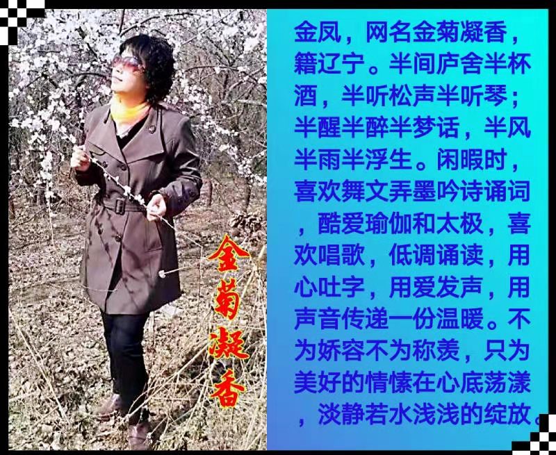 金菊凝香诗词