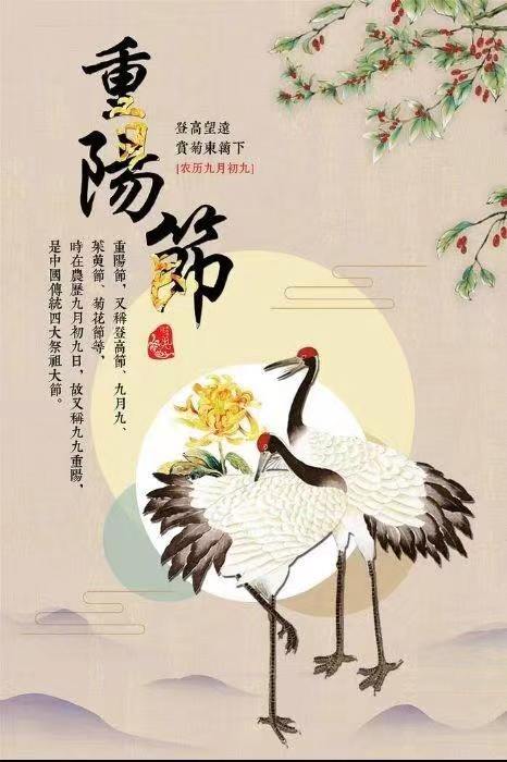 《感怀重阳·诗六组 》文:江花(北京)诵:晚晴(北京)长安街总社【世界诗人名人展】(9099)(图9)
